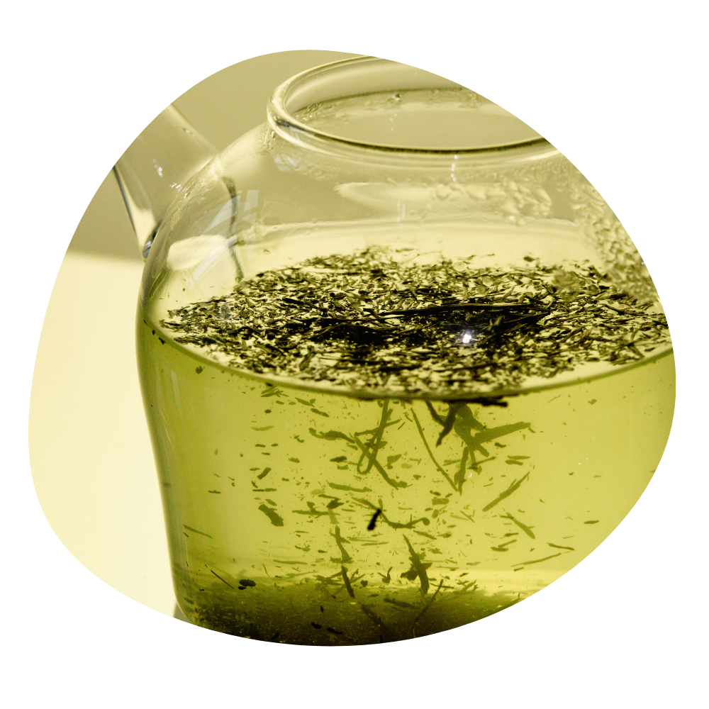 Gyokuro Imperial - zielona herbata japońska